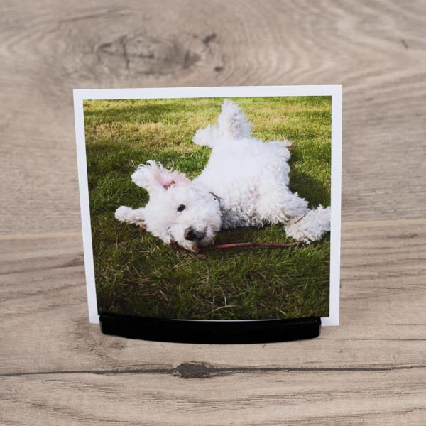 Photo stand